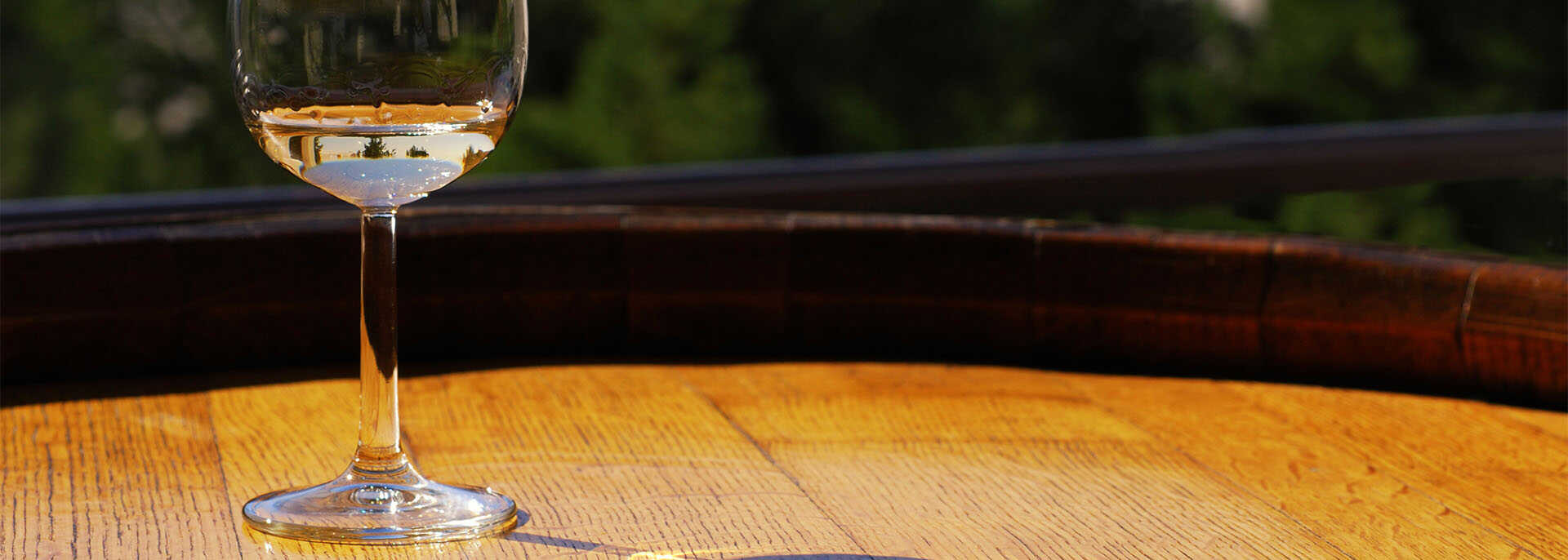 Sześćdziesiąt lat eleganckiego Pinot Grigio z Santa Margherita