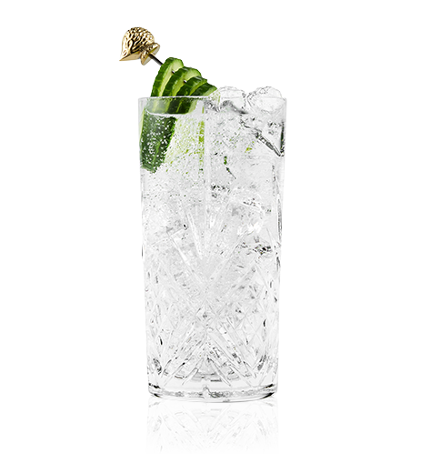 Hendrick's Gin&Tonic